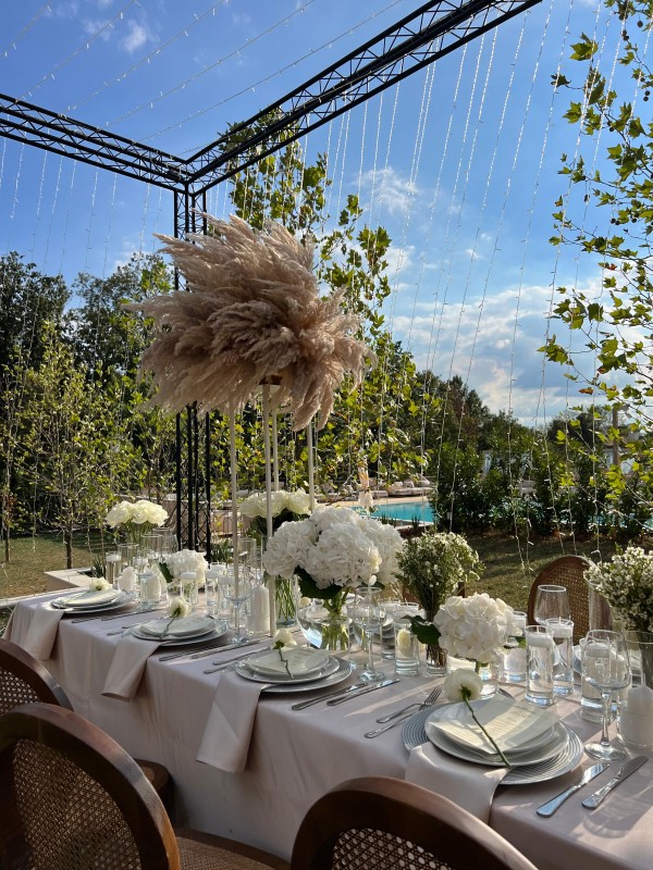 Hotel Hyde Hill / Bikini and Champagne